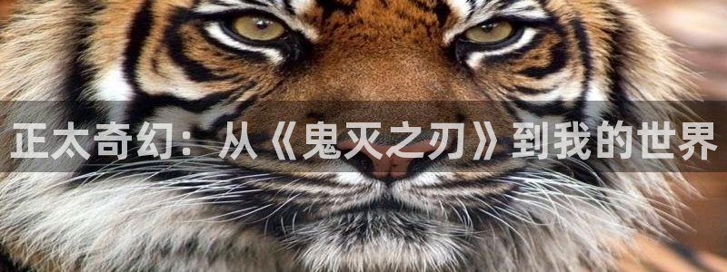 动漫屋下载入口